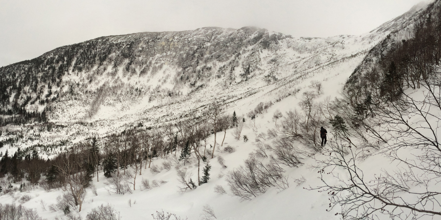  black and white winter landscape photo